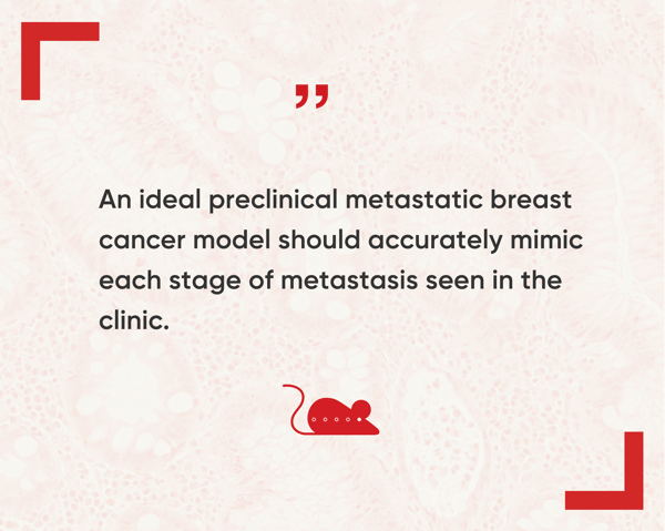 Metastatic-Breast Cancer-Campaign_social-pull-quote-3